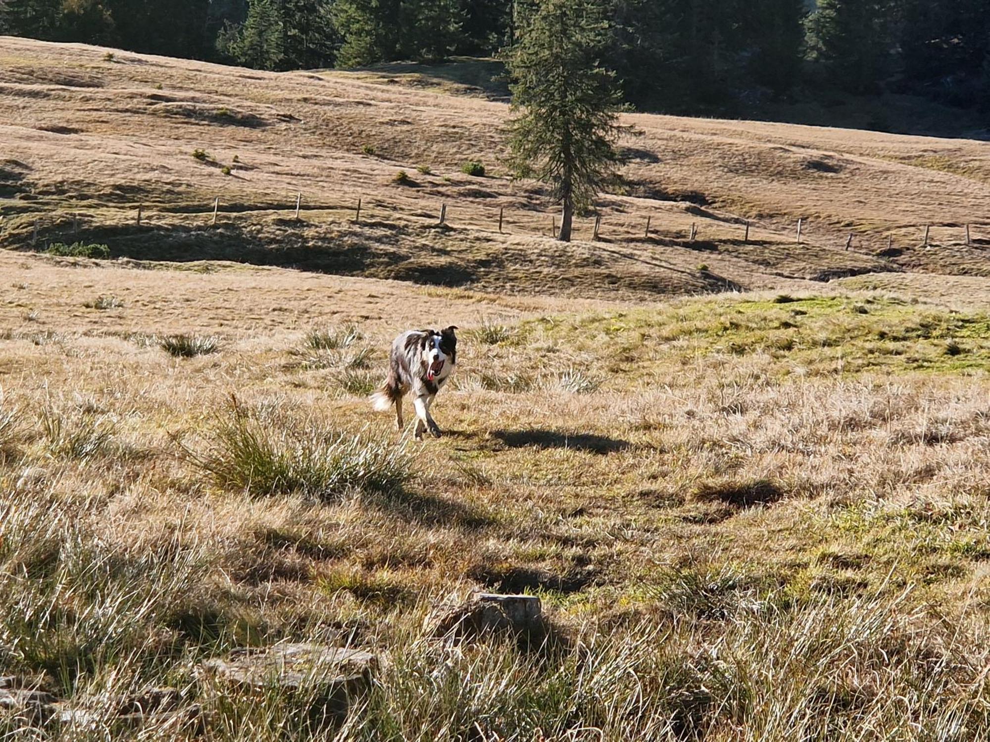 Kachelofenwohnung Poelzleitner Annaberg im Lammertal Exterior foto